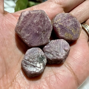 May include: A collection of four rough, pink ruby gemstones. The rubies are faceted and have a natural, unpolished look.