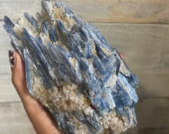 Jumbo Blue Kyanite in Quartz Specimen (3lbs 14oz)