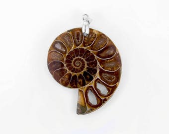 Jewellery Dropper Fossil Ammonite Pendant Silver Hallmarked