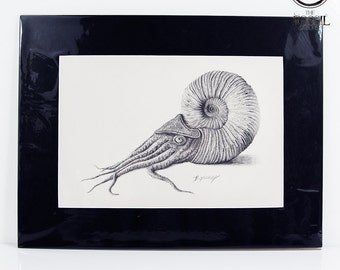 Ammonite signed print with mount