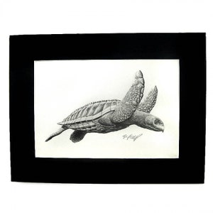 May include: A detailed pencil drawing of a sea turtle in mid-swim, with its flippers extended. The artwork is on white paper, matted in black, and signed by the artist. The turtle's shell and skin are intricately shaded.
