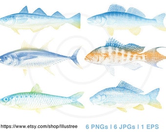 Fish digital clip art, blue sea fishes clipart set, ilustration, drawing, nautical, beach house, print, printable, EPS, instant download