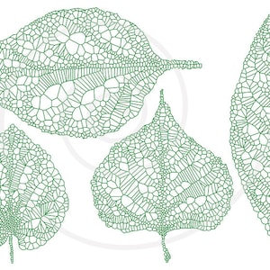 Green spring leaves, skeleton leaf silhouette, vein leaves, digital clipart, clip art set, drawing, illustration, EPS, SVG, instant download