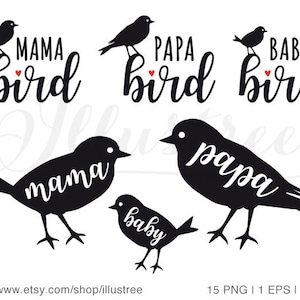 Mama bird, papa bird, baby bird, digital clip art set, new baby, mother's day, PNG, SVG, eps vector file, instant download, commercial use