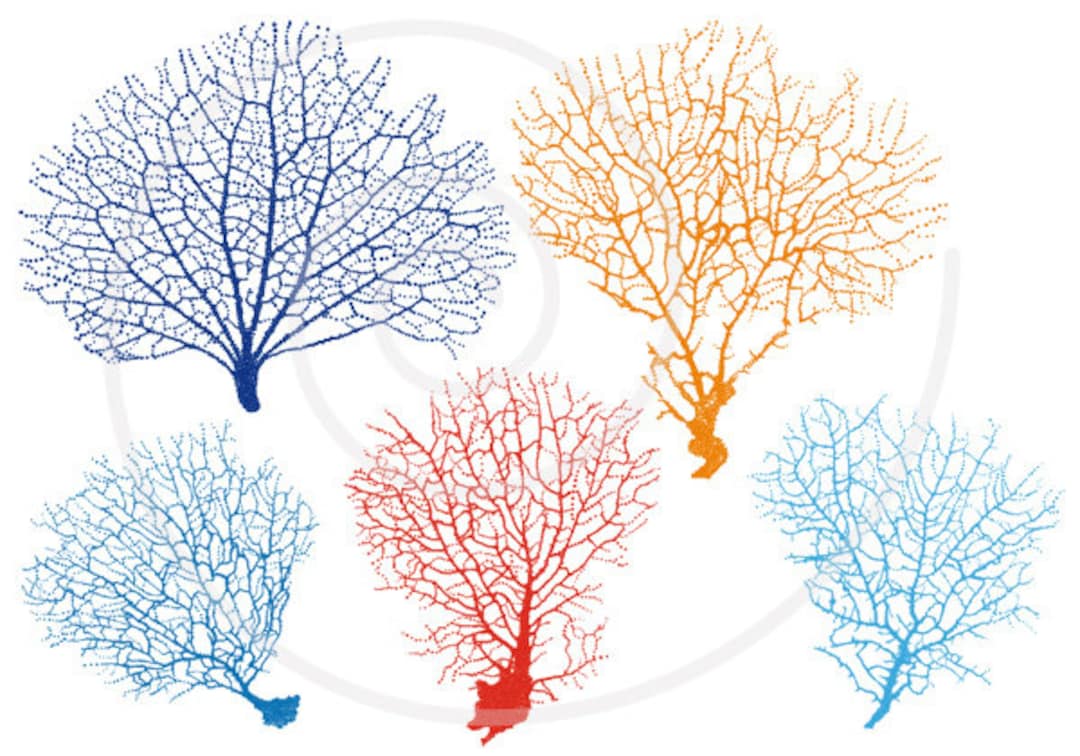 Sea Fan Coral Silhouettes, Digital Clipart, Clip Art Set for Home Decor