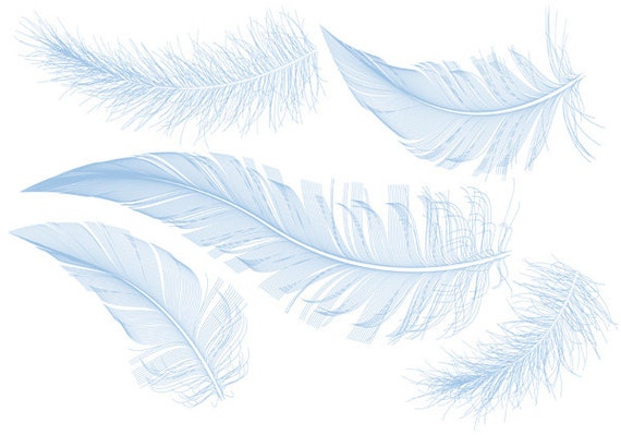 Blue Bird Feathers, Clipart, Clip Art, Illustration, Drawing, Digital Art  Print for Home Decor, Pillow, Vector, EPS, Instant Download - Etsy