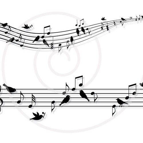 Musical Notes With Birds Music Sheet Animal Digital Clip - Etsy