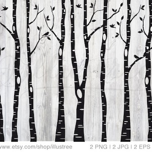 May include: Silhouette of a birch tree forest with black branches and white bark. The trees are arranged in a row, with the branches overlapping. There are small birds perched on the branches.