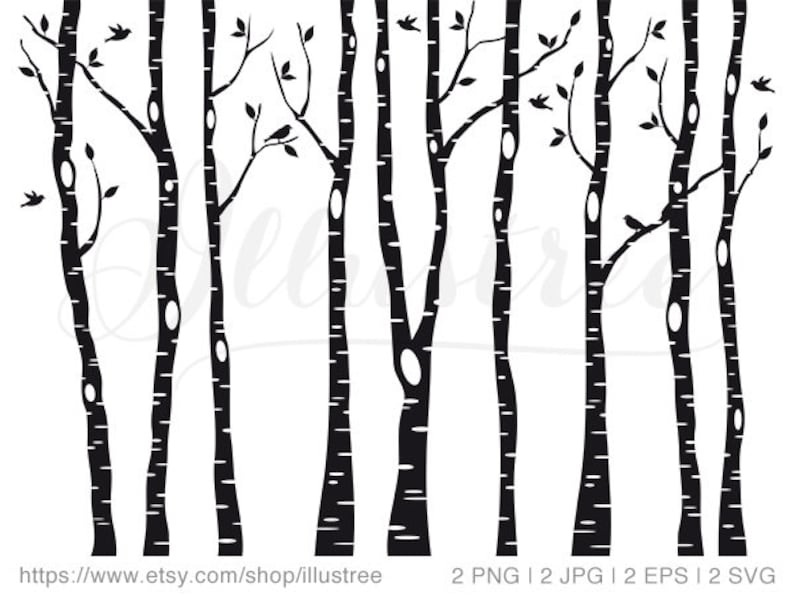 Birch tree forest digital clip art black and white trees | Etsy