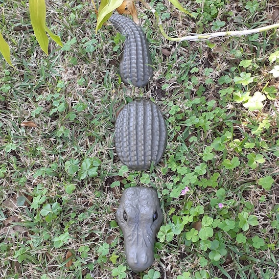 3pc Alligator Statue 24 inches