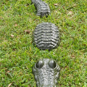 3pc Alligator Statue 48 inches