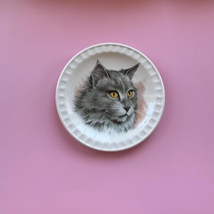 May include: A white ceramic plate with a gray cat with yellow eyes. The cat is looking to the right. The plate has a scalloped edge.