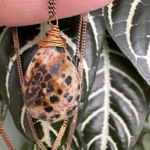 Puede incluir: Collar con colgante de piedra moteada en forma de l&aacute;grima, con manchas negras y beige. La piedra est&aacute; envuelta en alambre de cobre y colgada de una cadena de cobre. El collar se muestra sobre un fondo de hojas verdes.