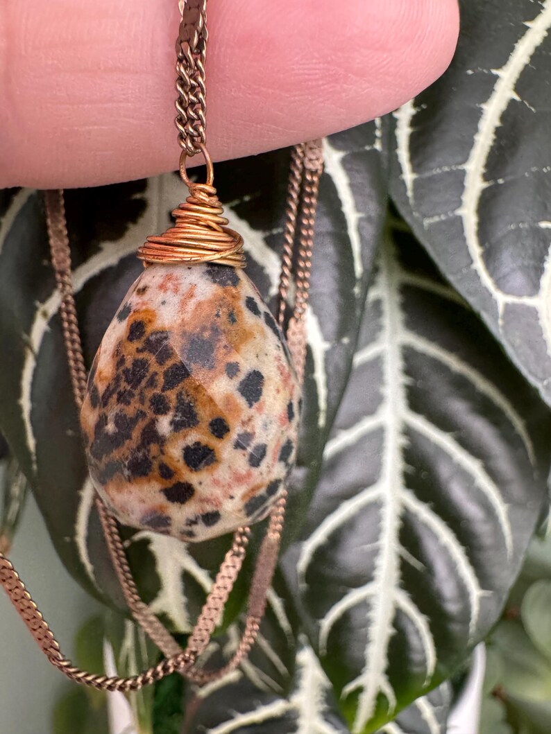 Puede incluir: Collar con colgante de piedra moteada en forma de l&aacute;grima, con manchas negras y beige. La piedra est&aacute; envuelta en alambre de cobre y colgada de una cadena de cobre. El collar se muestra sobre un fondo de hojas verdes.