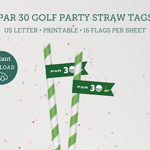 Thir-Tee Par-Tee Golf Straw Tags, Golf Birthday decor, 30 Golfing Party, Par 30 Straw Tags, Thirtee Golf party, Thir-Tee golf party DIY