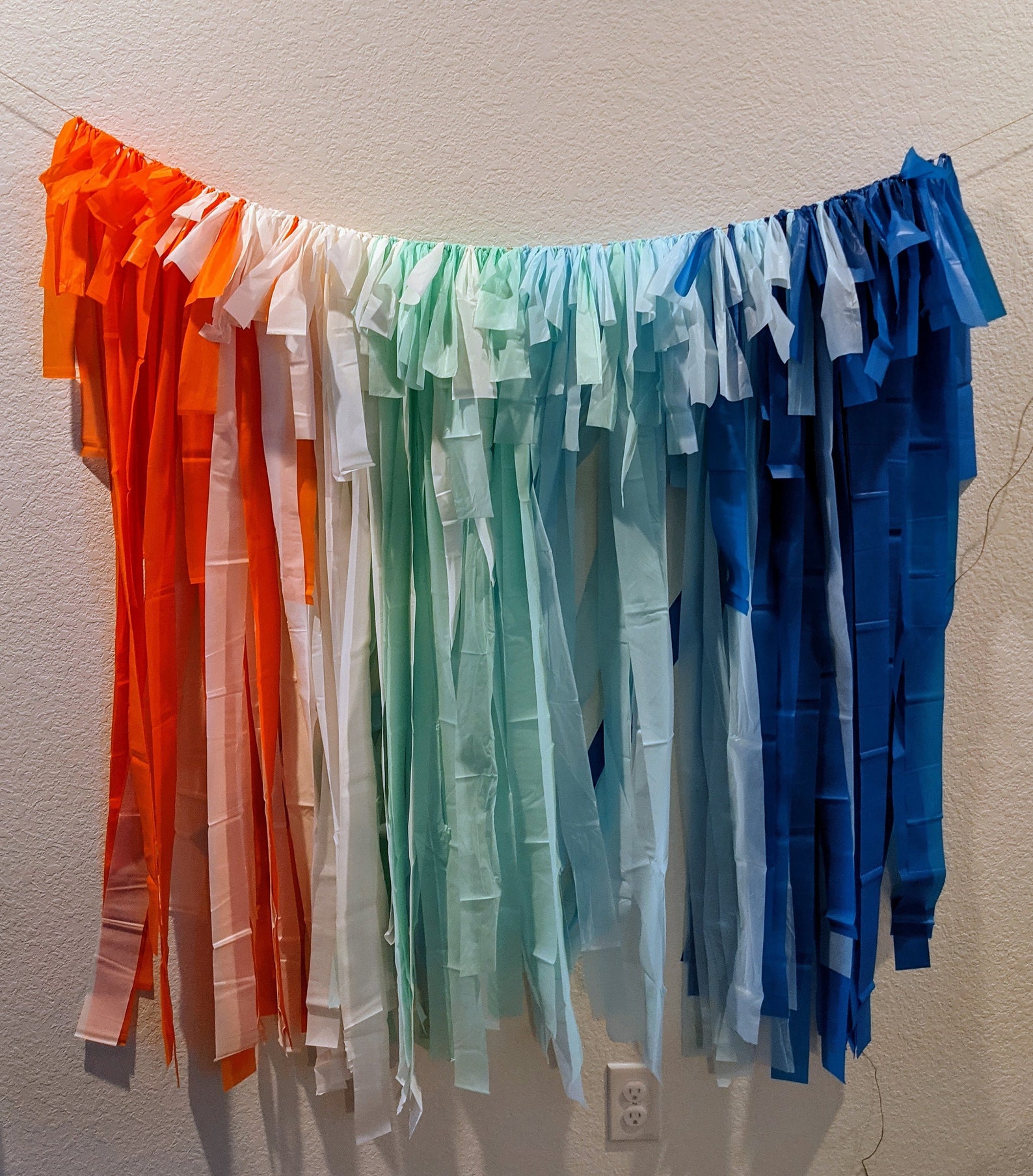 Plastic fringe backdrop Party backdrop Fringe backdrop Etsy