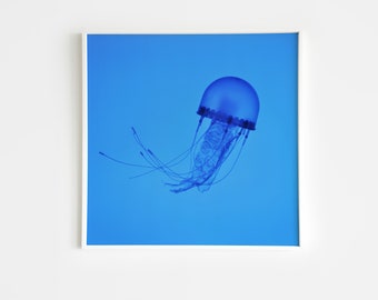 Plastic Jellyfish Art Print | Paper Wall Art | Nick Levesque