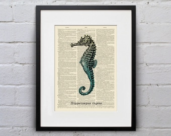 Blue Green Sea Horse Hippocampus Ingens - Scientific Plate Dictionary Page Book Art Print - DPSC003
