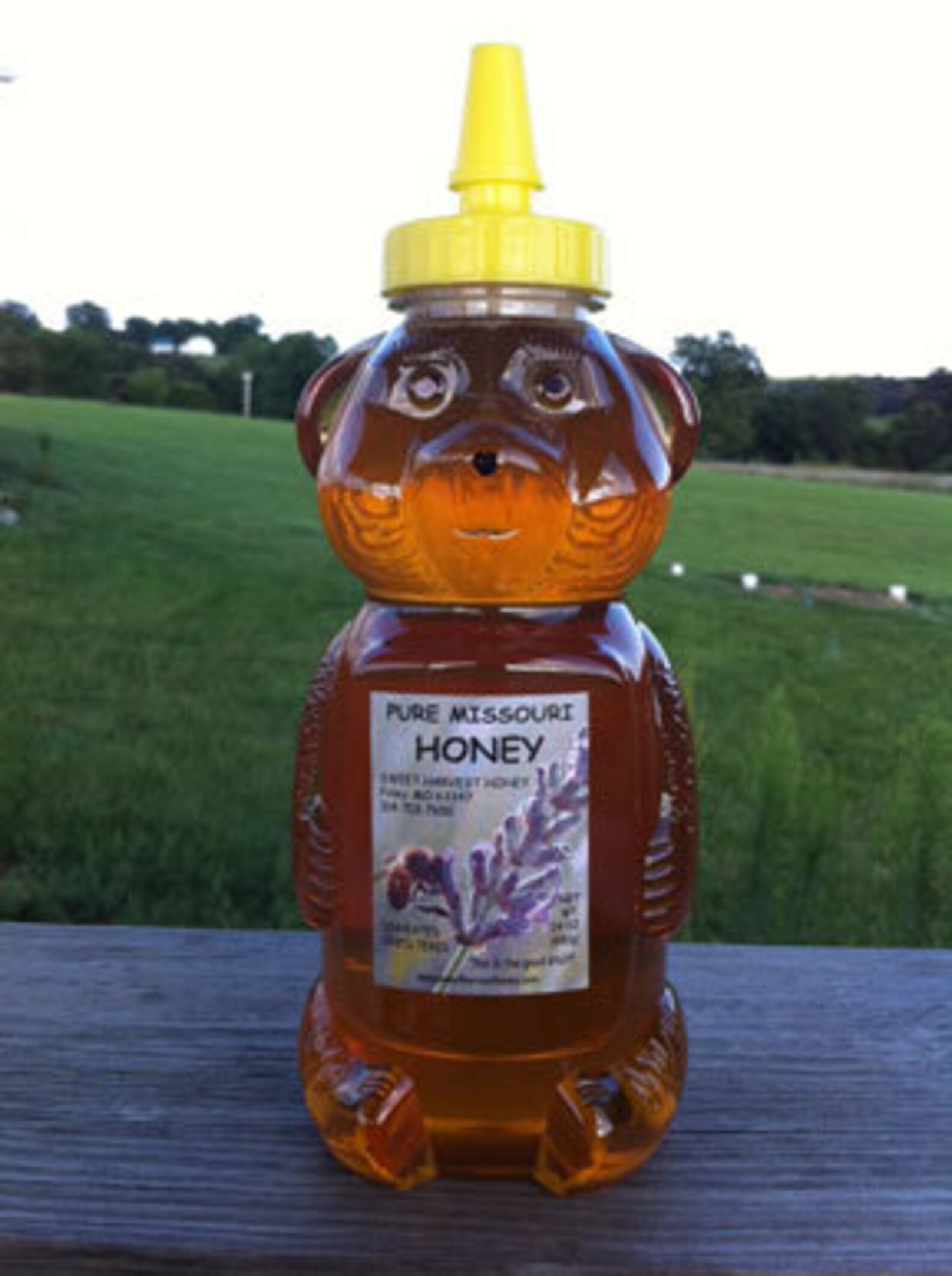 Pure Honey 24 Oz Squeeze Bottle Etsy