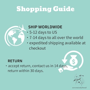 Puede incluir: Un gr&aacute;fico turquesa con el texto "Shopping Guide". Incluye un mapa del mundo con un avi&oacute;n y el texto "Ship Worldwide". Tambi&eacute;n incluye una pol&iacute;tica de devoluci&oacute;n con un icono de mano y bolsa de dinero. El texto "nevermindyrhead" est&aacute; en la esquina inferior derecha.