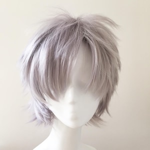 May include: A short, silver-grey wig with a layered, choppy style. The wig is styled with a side part and has a natural, slightly messy look.
