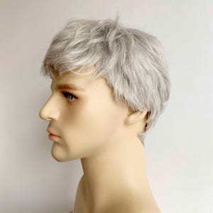 Men Gray Silver Wig With Bangs Short Straight Wig Cosplay Costume Party Wig Husband Gift For Father