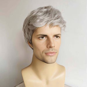 Men Gray Silver Wig With Bangs Short Straight Wig Cosplay Costume Party Wig Husband Gift For Father