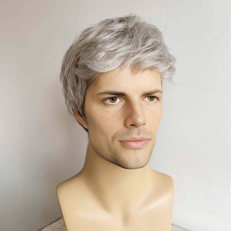 Men Gray Silver Wig With Bangs Short Straight Wig Cosplay Costume Party Wig Husband Gift For Father
