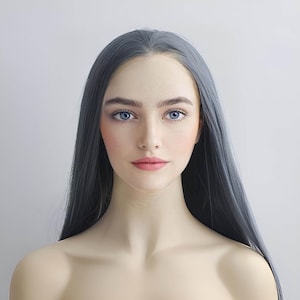 女性用グレーレースフロントウィッグ ロングストレートグレーウィッグ ナチュラルなヘアウィッグ なめらかフリーパートヘアラインフロントレースリアルウィッグ