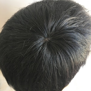 May include: A black toupee with a circular opening in the centre, designed to cover hair loss.