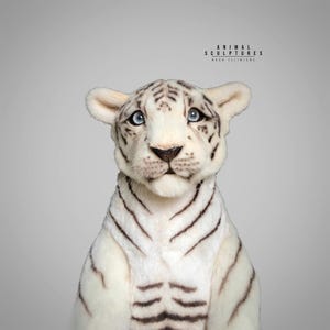 Può includere: Un peluche di cucciolo di tigre bianca con strisce nere e occhi blu. La scultura di animali fatta a mano presenta dettagliati tratti del viso ed è ambientata su uno sfondo grigio neutro. Il testo "ANIMAL SCULPTURES" e "BASA ILIZIENI" è visibile.