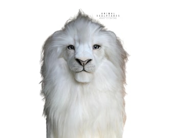 May include: A white lion with a full mane, looking directly at the camera. The lion's eyes are blue and its fur is soft and fluffy.