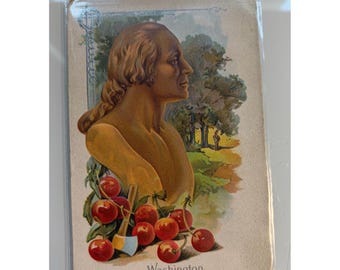 Vintage 1908 George Washington Birthday  Embossed Postcard - Cherries & Hatchet