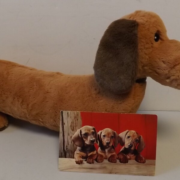 Dachshund Plush Puppy and Postcard - see Description for Details