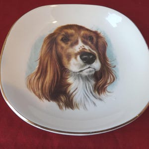 Weatherby Hanley England Royal Falcon Ware Small Plate with Dog Design