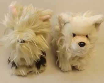 American girl terrier puppy online