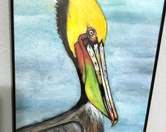 Brown Pelican