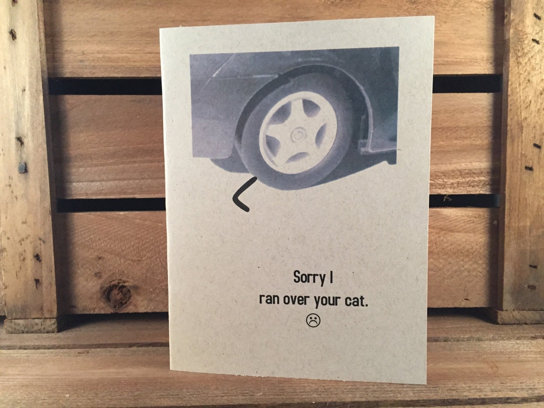 Greeting Card: Sorry I Ran Over Your Cat - Etsy