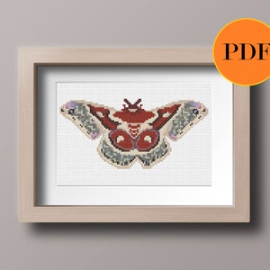 Glover&#39;s Silk Moth PDF Cross Stitch Pattern, Instant Download, Contemporary Modern Design, Printable