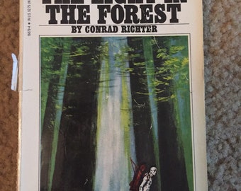 light in the forest