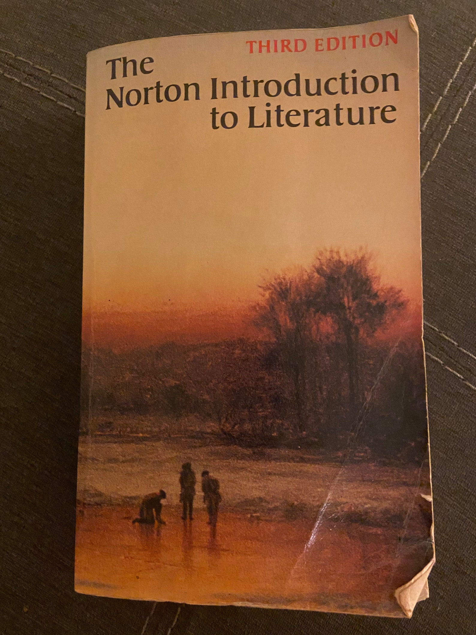 The Norton Introduction To Literature Third Edition Etsy