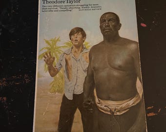 The Cay by Theordore Taylor Paperback Book