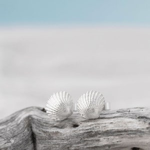Silver Cockle Shell Stud Earrings