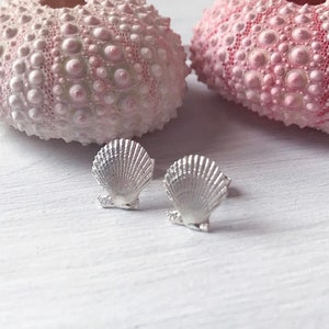 Silver Clam Shell Studs Earrings