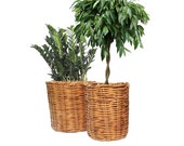 Vintage Tall Mexican Basket Planter SET Woven Reed Basket Boho Indoor Planters