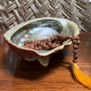 May include: A string of brown, textured rudraksha beads with a bright orange tassel resting inside a large, iridescent abalone shell bowl. The shell features a smooth, pearlescent interior with natural green and blue hues, supported by a small base.