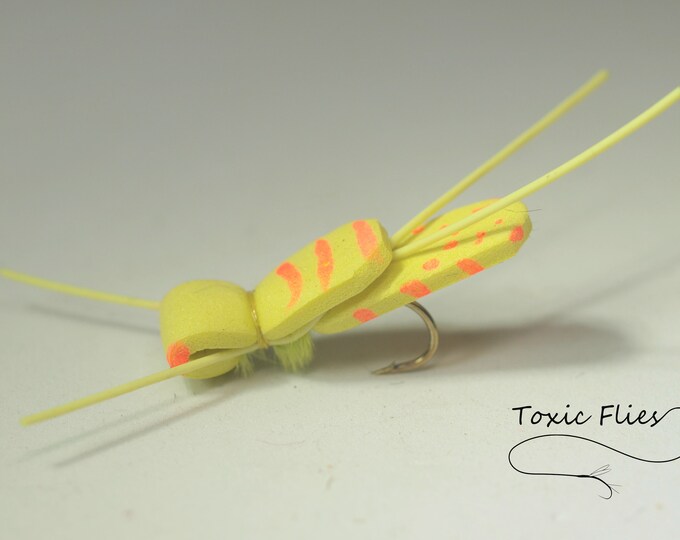 Foam Spider