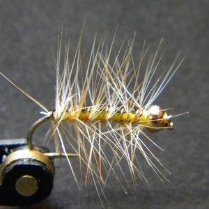 May include: Close-up of a fishing fly with a gold hook and a body wrapped in yellow and green thread. The fly has white and tan feather-like fibers extending outwards, creating a textured appearance. The fly is held in a clamp.