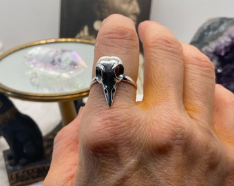 Puede incluir: Un anillo de plata con un diseño de calavera de pájaro. El anillo tiene forma de calavera detallada con cuencas de los ojos y un pico puntiagudo. El anillo se lleva en un dedo, mostrando la joya gótica y única.