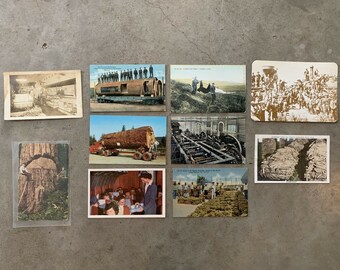 Antique Postcard Lot x10 General Store RPCC Occupational Logging Vintage Victorian Liquor Tobacco Whiskey Grocery Store Photo Lumberjack